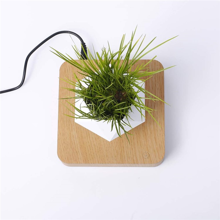 Suspension Magnétique Pot De Fleur Micro Paysage Jardinage Lévitation Air Pot De Bonsaï - Brun Clair / Prise Au-3