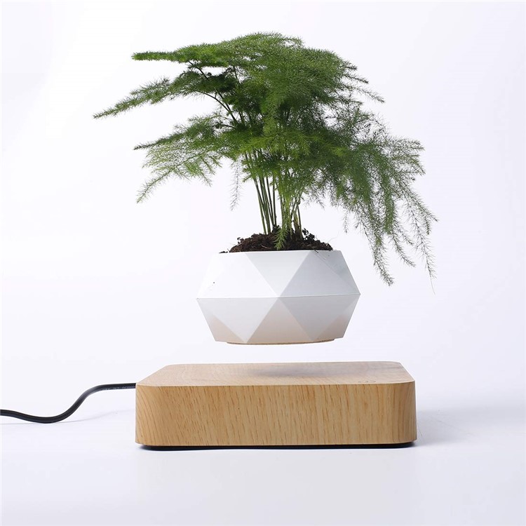 Suspension Magnétique Pot De Fleur Micro Paysage Jardinage Lévitation Air Pot De Bonsaï - Brun Clair / Prise Au-4