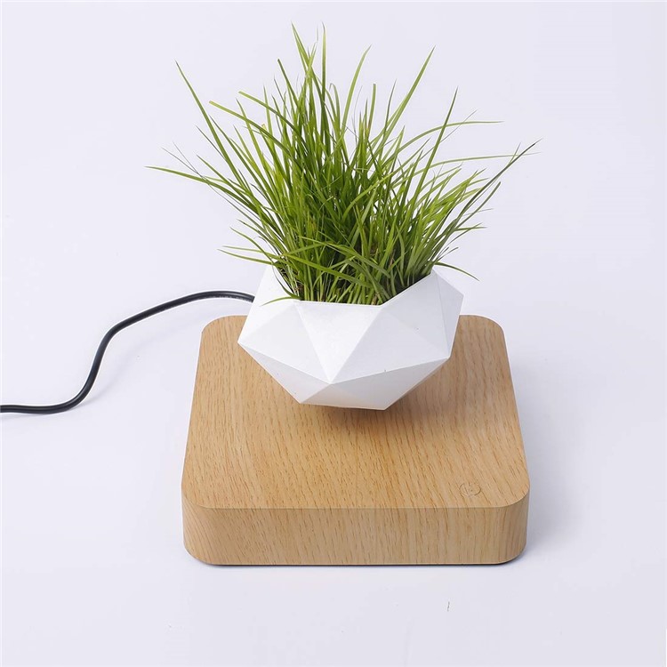 Suspension Magnétique Pot De Fleur Micro Paysage Jardinage Lévitation Air Pot De Bonsaï - Brun Clair / Prise Au-5