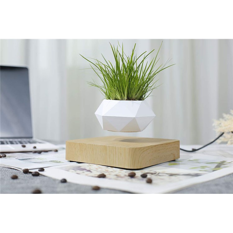 Suspension Magnétique Pot De Fleur Micro Paysage Jardinage Lévitation Air Pot De Bonsaï - Brun Clair / Prise Au-8