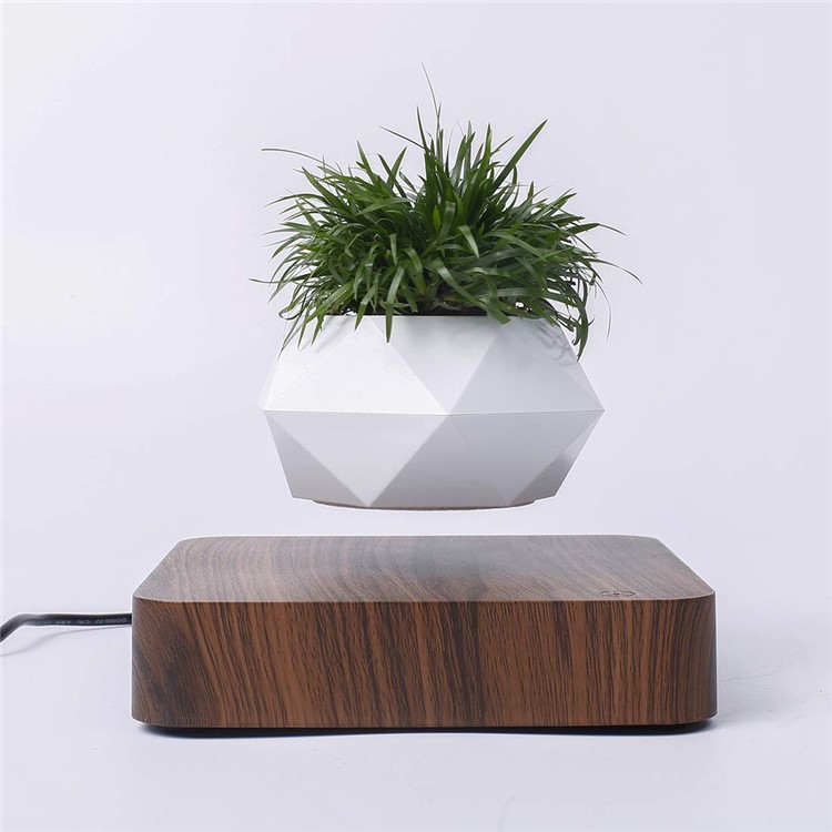 Vaso Da Fiori A Sospensione Magnetica Micro Paesaggio Giardinaggio Levitante Vaso Bonsai Ad Aria - Spina Marrone Scuro / Uk-1