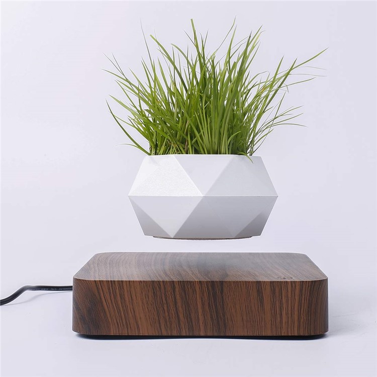 Vaso Da Fiori A Sospensione Magnetica Micro Paesaggio Giardinaggio Levitante Vaso Bonsai Ad Aria - Spina Marrone Scuro / Uk-2