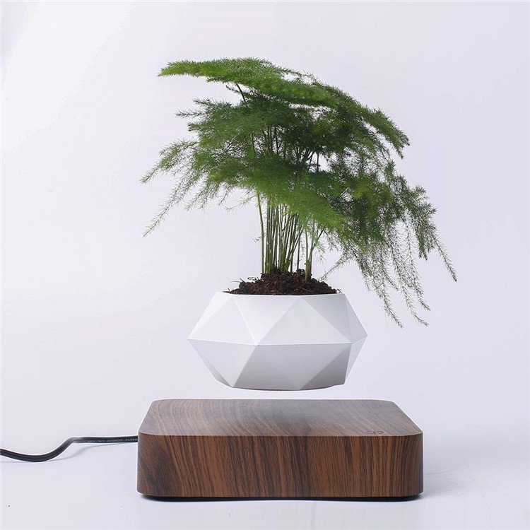 Vaso Da Fiori A Sospensione Magnetica Micro Paesaggio Giardinaggio Levitante Vaso Bonsai Ad Aria - Spina Marrone Scuro / Uk-3