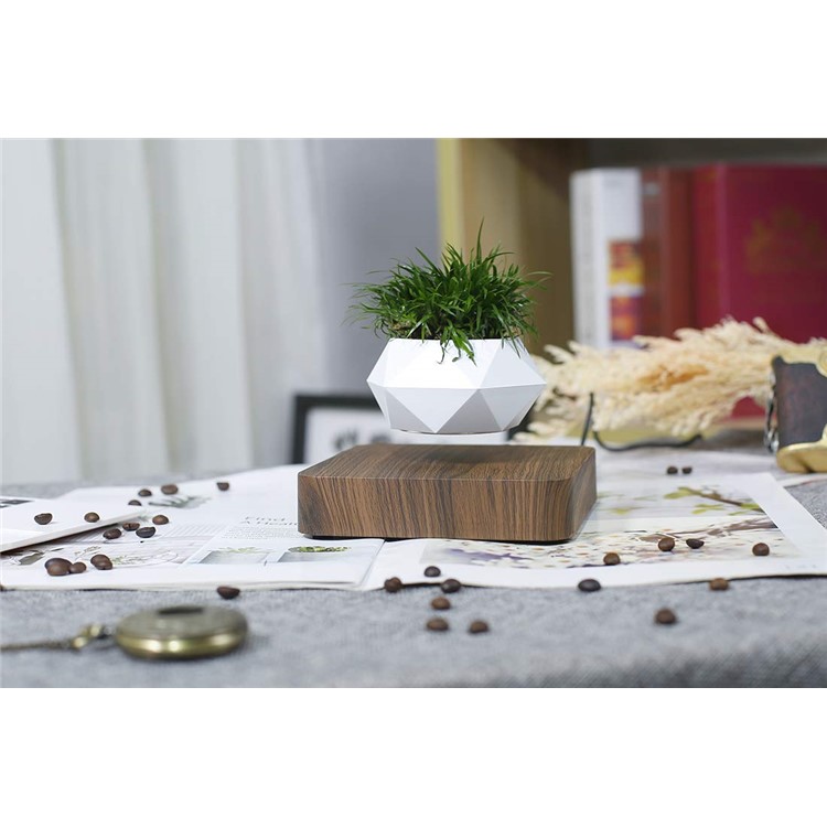 Vaso Da Fiori A Sospensione Magnetica Micro Paesaggio Giardinaggio Levitante Vaso Bonsai Ad Aria - Spina Marrone Scuro / Uk-4