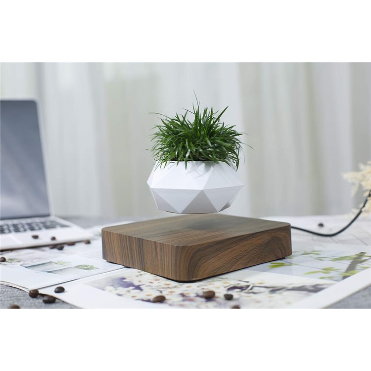 Vaso Da Fiori A Sospensione Magnetica Micro Paesaggio Giardinaggio Levitante Vaso Bonsai Ad Aria - Spina Marrone Scuro / Uk-6