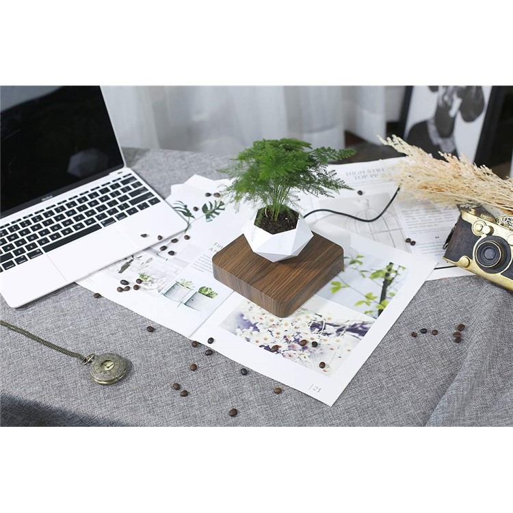 Vaso Da Fiori A Sospensione Magnetica Micro Paesaggio Giardinaggio Levitante Vaso Bonsai Ad Aria - Spina Marrone Scuro / Uk-7