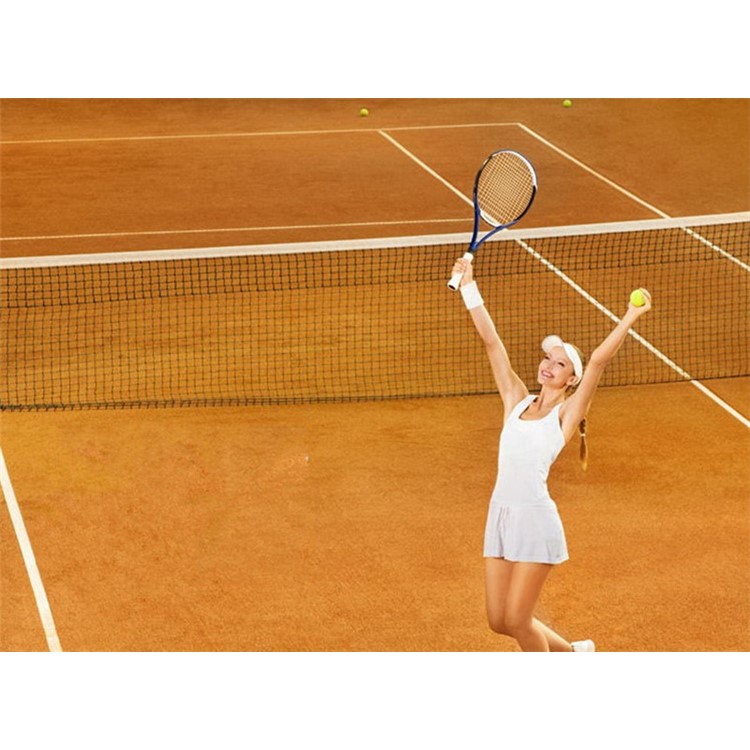 Highest Quality PE Canvas Volleyball Net Competition Volleyball Net-4