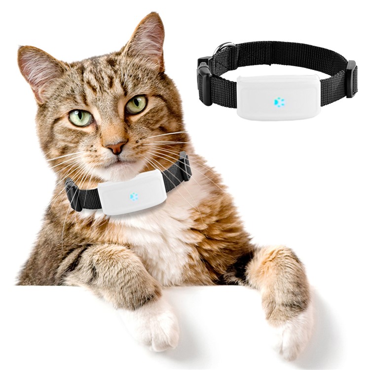 TK-STAR Pet GPS Tracker Small PET Dog Cat Collars IPX7 Waterproof Mini GPS Tracker Locator-1