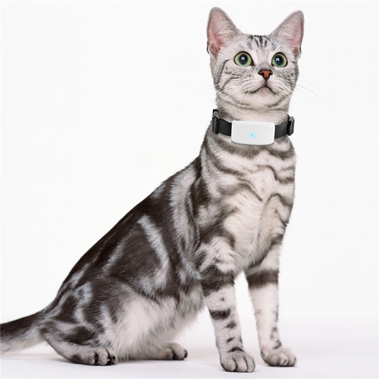 TK-STAR Pet GPS Tracker Small PET Dog Cat Collars IPX7 Waterproof Mini GPS Tracker Locator-2