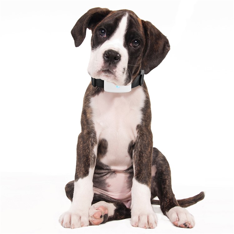 TK-STAR Pet GPS Tracker Small PET Dog Cat Collars IPX7 Waterproof Mini GPS Tracker Locator-4