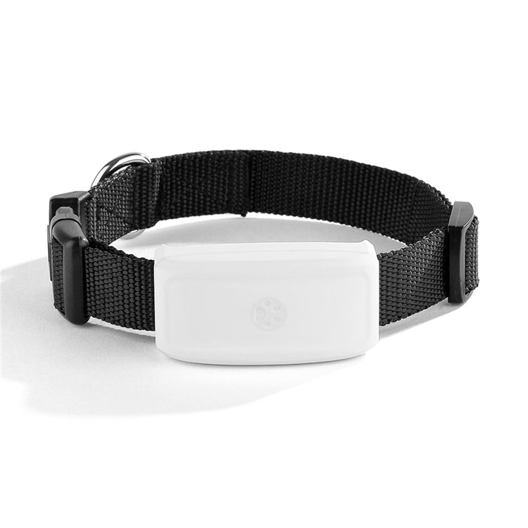 TK-STAR Pet GPS Tracker Small PET Dog Cat Collars IPX7 Waterproof Mini GPS Tracker Locator-9