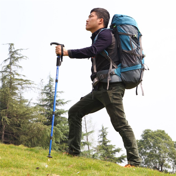 AOTU AT7555 T Shaped Handle 4 Sections Adjustable Stick Trekking Pole - Black-2