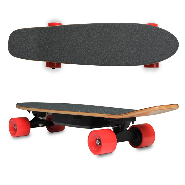 Electric Longboard Hub-Motor PU Wheels Electric Skateboard with Remote Controller (CE Certificate) - US Plug-1