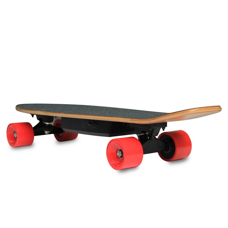Electric Longboard Hub-Motor PU Wheels Electric Skateboard with Remote Controller (CE Certificate) - US Plug-5