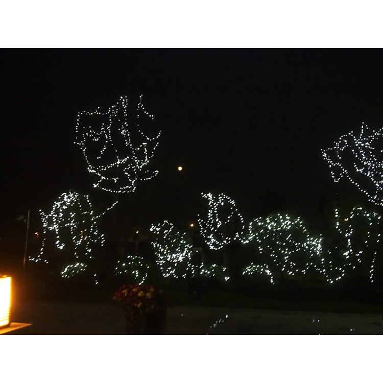 Solarenergie 200 LED-Lichterketten Im Freien Für Weihnachtshochzeitsfest - Blau-6