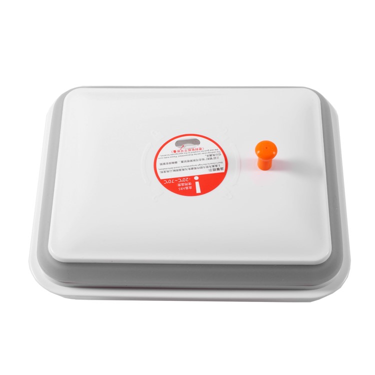 2300ML Multi-functional Rectangle Sealed Food Storage Box with Press Button (AK-2300-BAC-C)-4