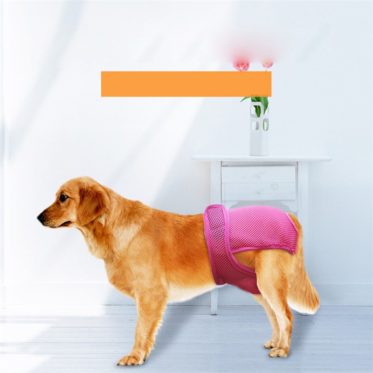4PCS/Lot Washable Breathable Mesh Dog Diapers Sanitary Physical Pants, Size: L-8