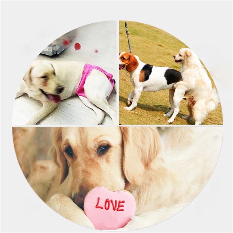 4PCS/Lot Washable Breathable Mesh Dog Diapers Sanitary Physical Pants, Size: L-9