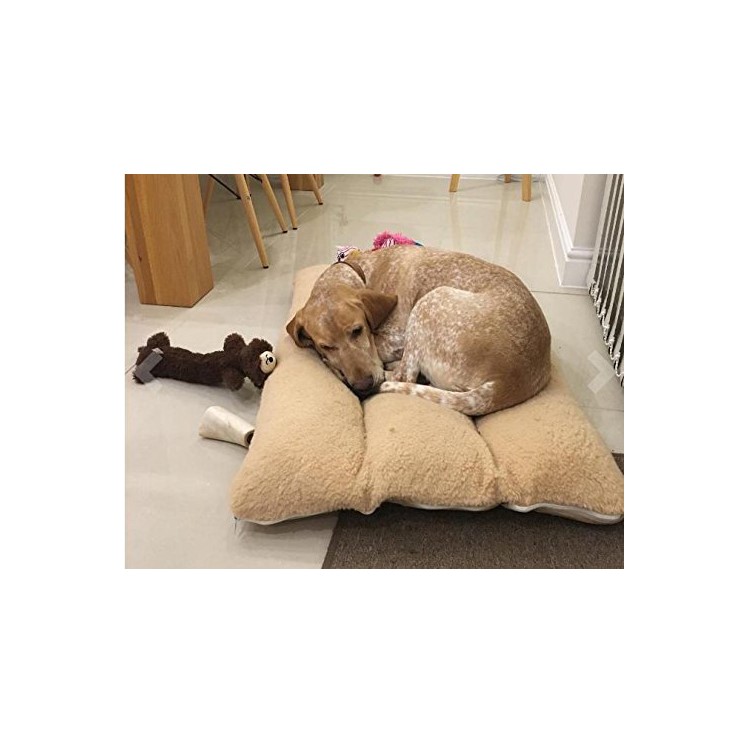 Soft Four Season Pet Bed Berber Fleece Warm Thermal Pet Cat Dog Mat (100*60cm)-5