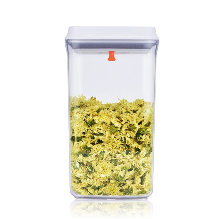 2000ML Square Sealed Food Storage Box Tank with Press Button (AK-2000-BAF-C)-1