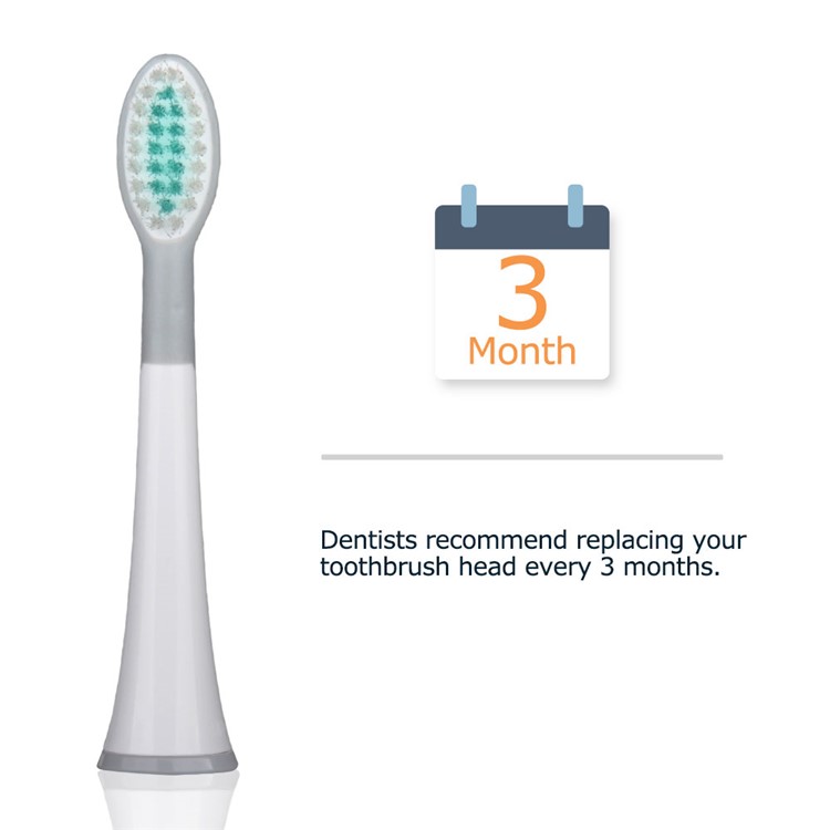 4 Pçs / Set MORNWELL Branco Rubberied Cabeças De Escova De Dentes Com Tampas Para Mornwell D01 / D02 Escova De Dentes Elétrica - Branco-6