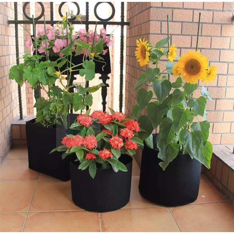 6PCS / Lot 3 галлона растут мешки Ткань горшки с ручками ребра для сада и посадки растут-2