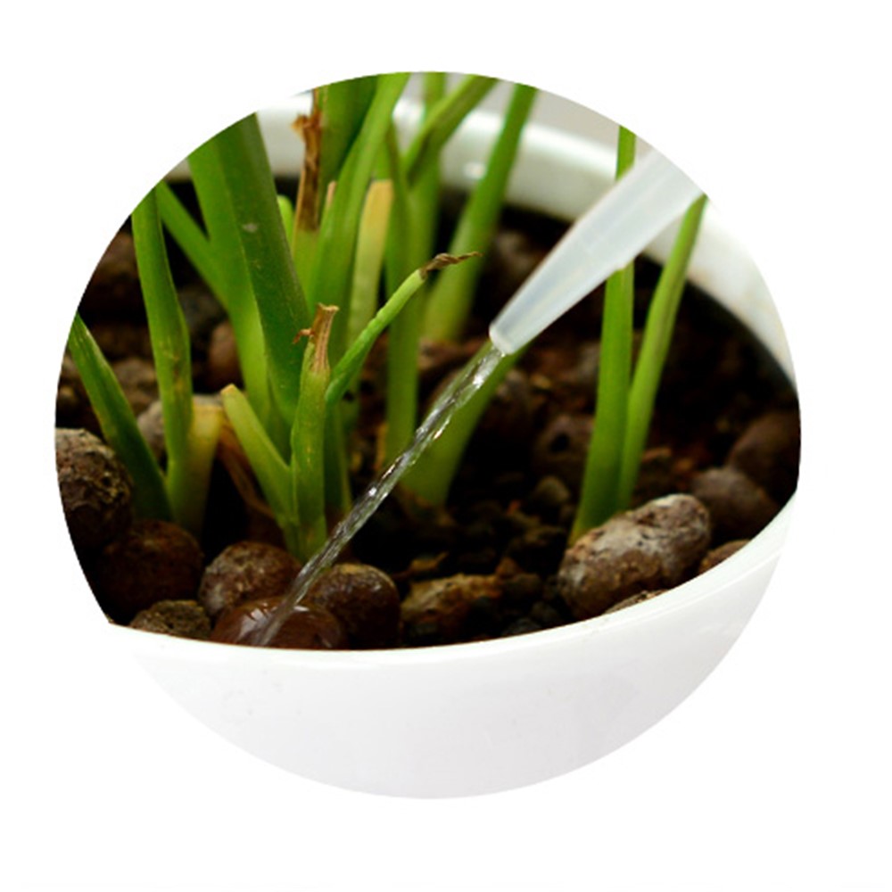 Plastic Squeeze Type Watering Bottle Plastic Bend Mouth Watering Cans for Plant Flower Succulent 2pcs ( 500ml +250ml)-7