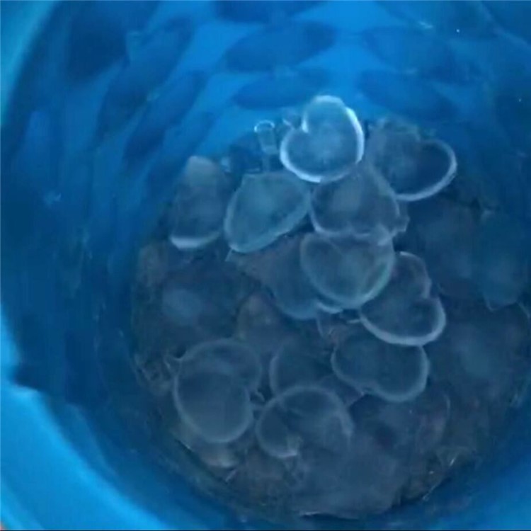 Silicone Heart-shape Ice Cube Maker Space Saving Ice Cube Maker, Size: L - Blue-17