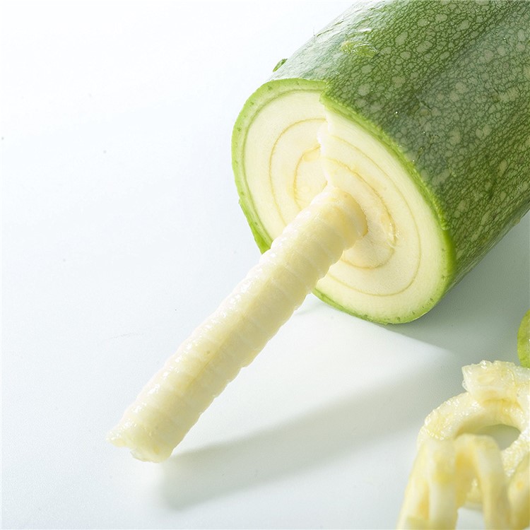Colorized Handheld Vegetable Spiralizer Fruit Vegetable kitchen Spiral Cutter-9