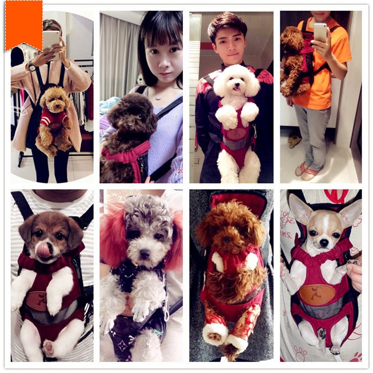 HOOPET Canvas Front Pack Pet Dogs Carrier Backpack Shoulder Bag, Size: L-8