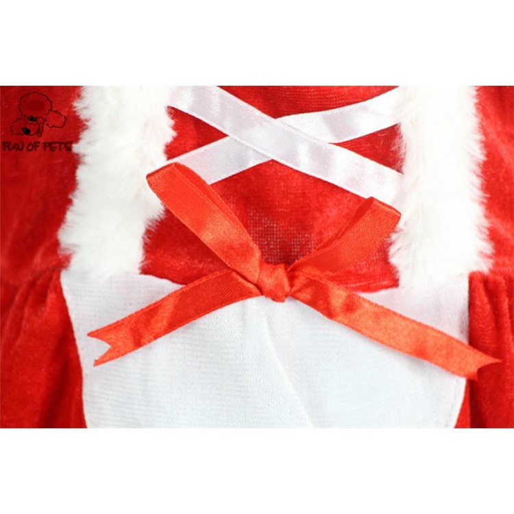 Costume Christmas Dress for Small Dog for Winter Spring - S-10