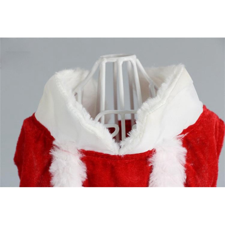 Costume Christmas Dress for Small Dog for Winter Spring - S-11