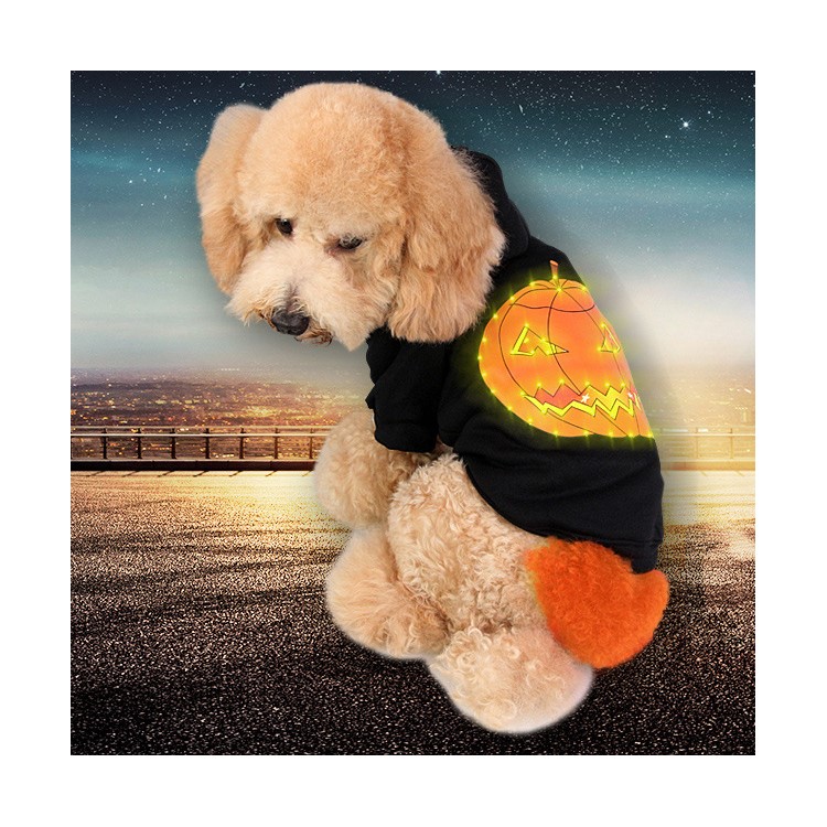 LED Costume Pumpkin Pattern Puppy Black Clothes Halloween for Pet - Black / S-1