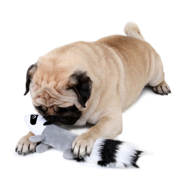 Squirrel Skunk BB Sound Plush Toy Small Soft Doll for Pet Cat/Dog, 30cm - Grey-2