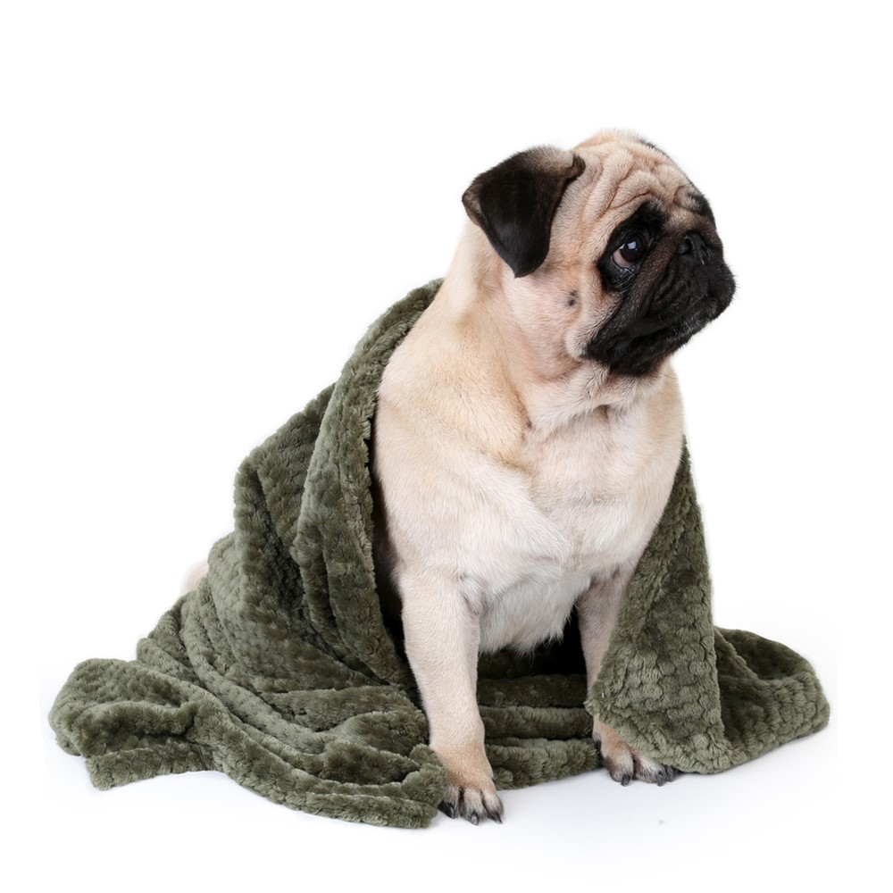 Pure Color Bead Mesh Soft Coral Fleece Blanket Carpet for Pet - Green-2
