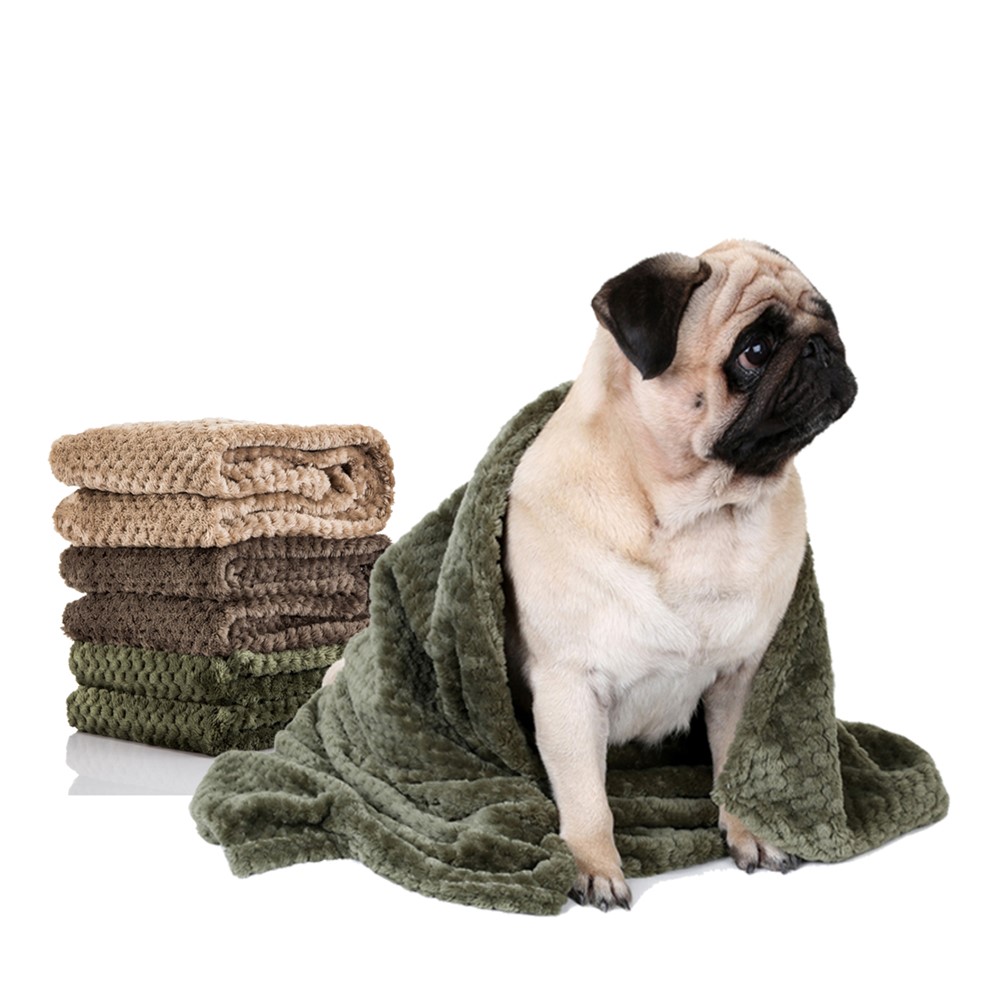 Pure Color Bead Mesh Soft Coral Fleece Blanket Carpet for Pet - Green-6