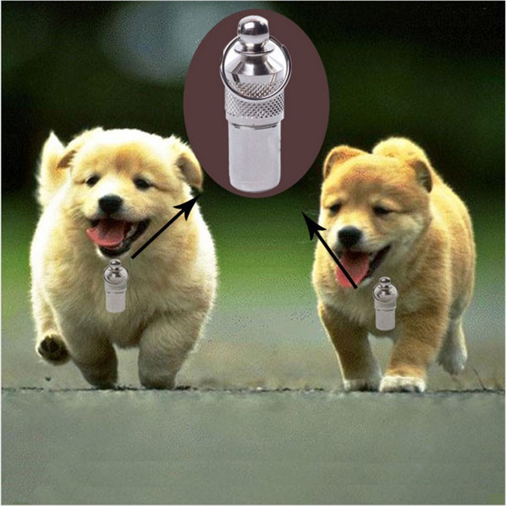 Stainless Steel Small Animal ID Tag Barrel Tube for Anti-lost-3