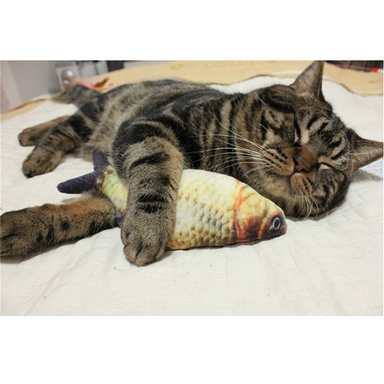 Cat Catnip Mint Fish Toys Kitty Treat Simulated Animal Fish for Kitty - S / Grass Carp-1