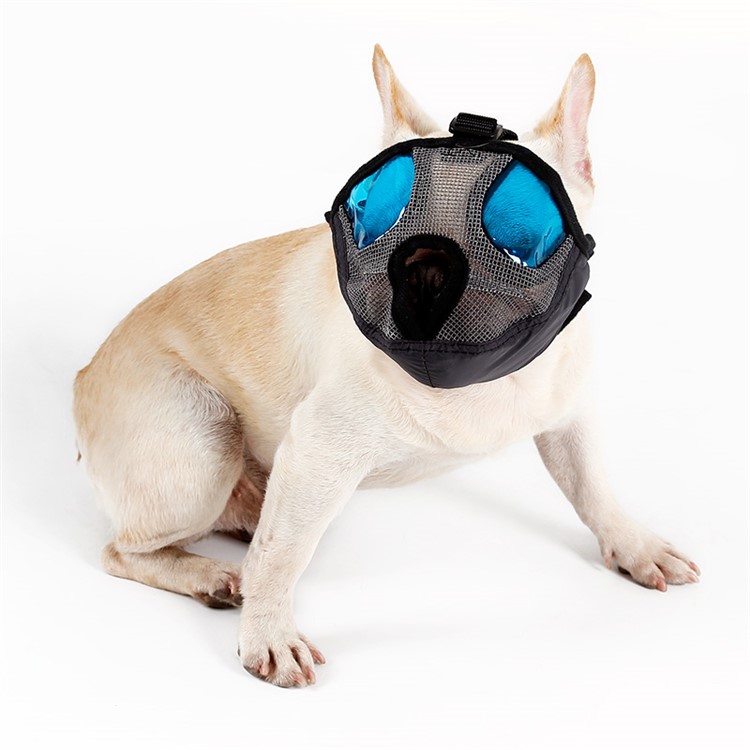 Fashionable Short Snout Dog Pet Muzzle Breathable Mesh Muzzles Muzzle Breathable Mesh Dog Muzzles