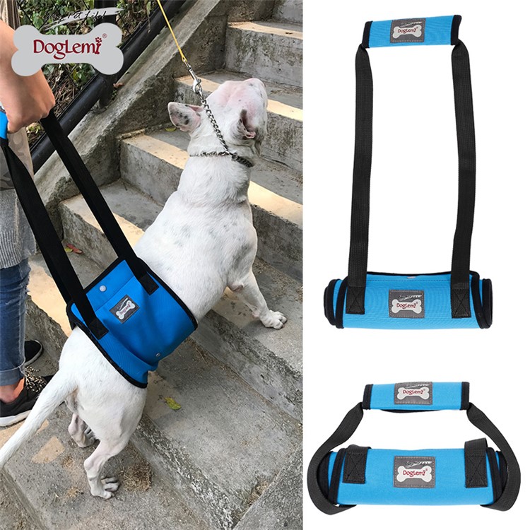 Canine Aid Dog Lift Harness with Handle Rehabilitation Harness Dog Walking Auxiliary Strap - Blue / Size: S-1