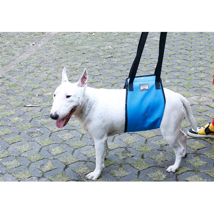 Canine Aid Dog Lift Harness with Handle Rehabilitation Harness Dog Walking Auxiliary Strap - Blue / Size: S-13