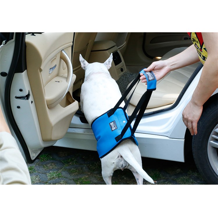 Canine Aid Dog Lift Harness with Handle Rehabilitation Harness Dog Walking Auxiliary Strap - Blue / Size: S-14