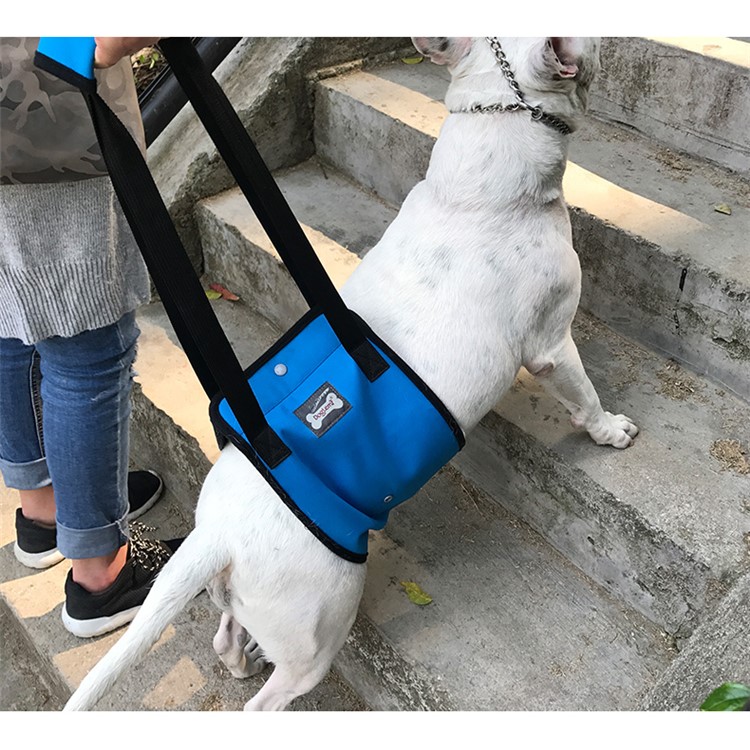 Canine Aid Dog Lift Harness with Handle Rehabilitation Harness Dog Walking Auxiliary Strap - Blue / Size: S-15