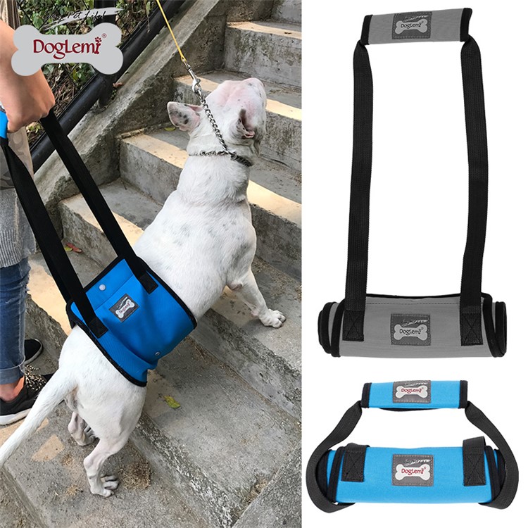 Canine Aid Dog Lift Harness with Handle Rehabilitation Harness Dog Walking Auxiliary Strap - Blue / Size: S-16