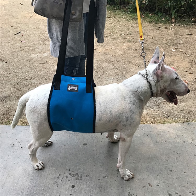 Canine Aid Dog Lift Harness with Handle Rehabilitation Harness Dog Walking Auxiliary Strap - Blue / Size: S-4