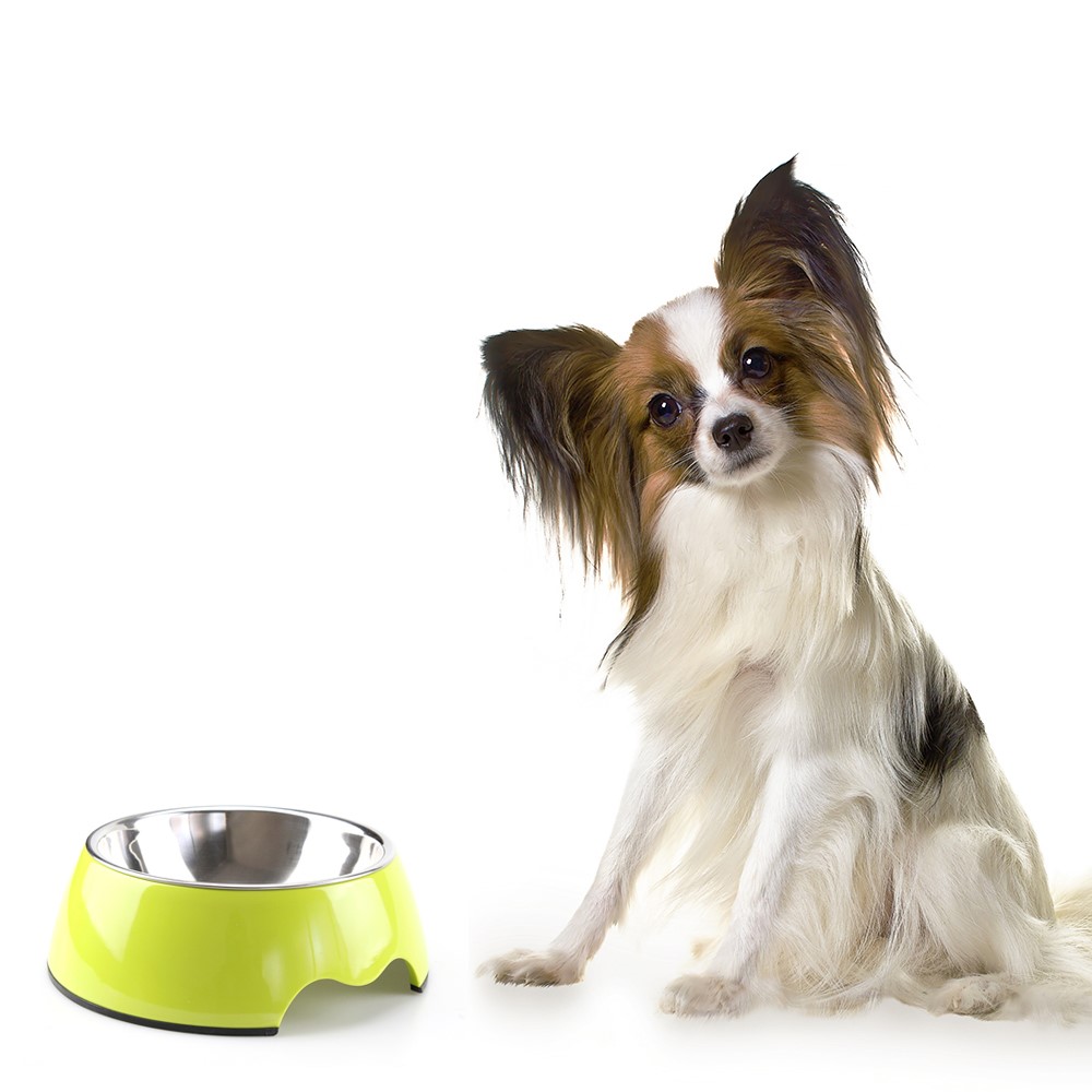 Heavy Duty Melamine Non-skid Pet Bowl for Dogs and Cats - Size: S / Green-2