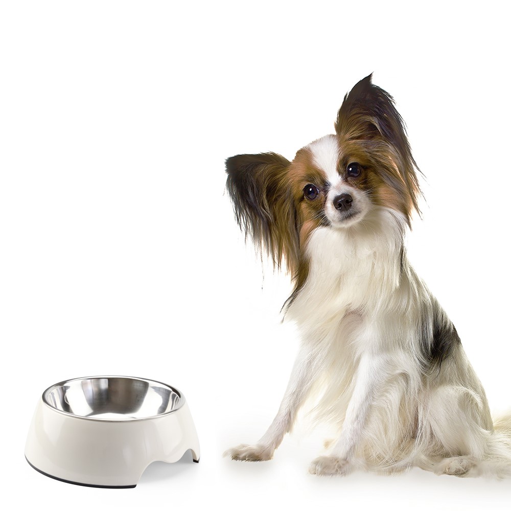 2 in 1 Melamine Pet Dog Bowl with Stainless Steel Bowl Insert - Size: M / White-1