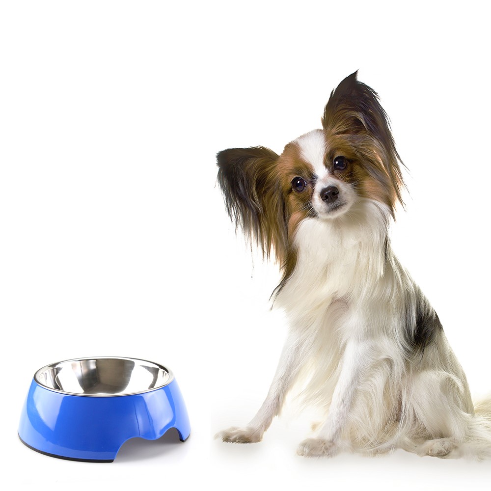 Detachable Melamine Dog Bowl with Stainless Steel Bowl Insert - Size: M / Blue-1