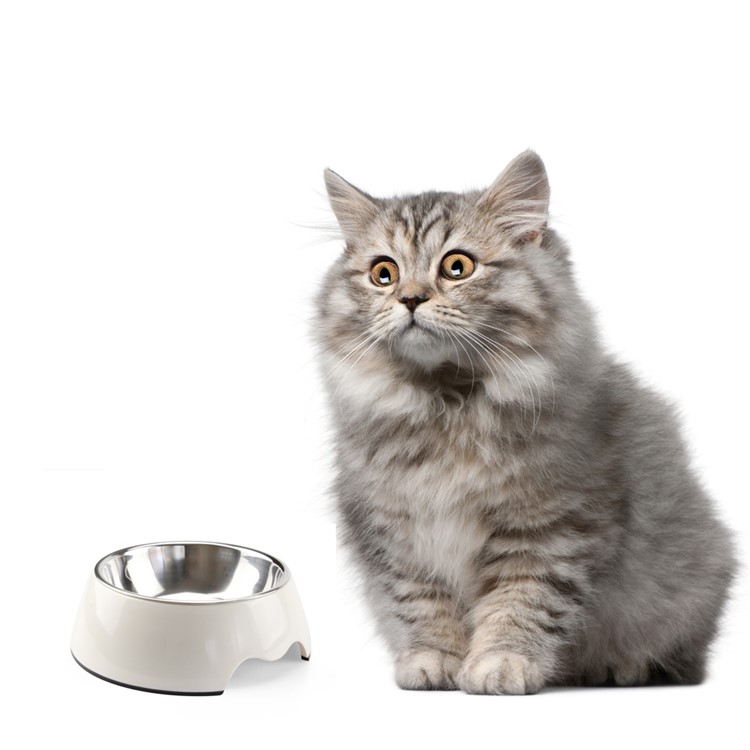 Removable Melamine and Stainless Steel Pet Bowl Anti-skid Round Bowl for Puppy and Kitty, Size L - White-1