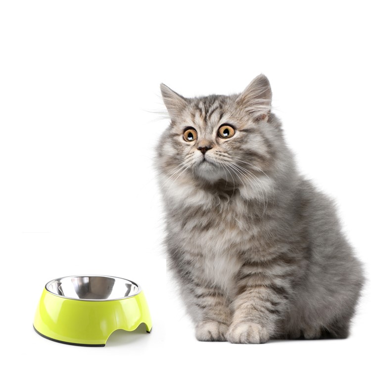 Removable Melamine and Stainless Steel Pet Food Bowl Anti-skid Round Bowl for Puppy and Kitty, Size L - Green-1